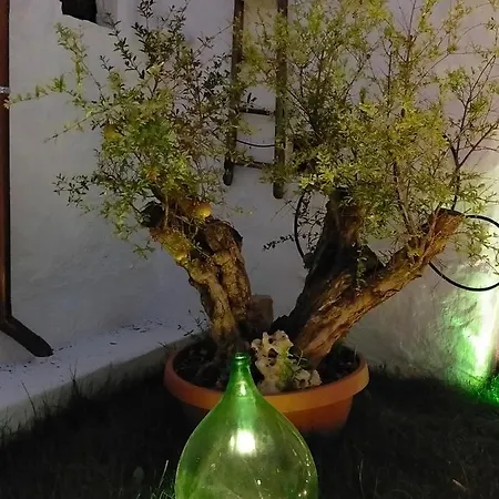 Pulia Dimore Salentine Bed & Breakfast Alessano