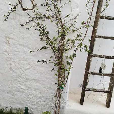 Frühstückspension Pulia Dimore Salentine